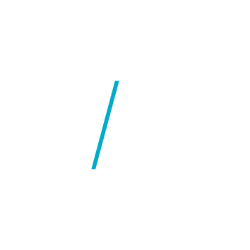 CAMP4 Therapeutics Corporation Share Price